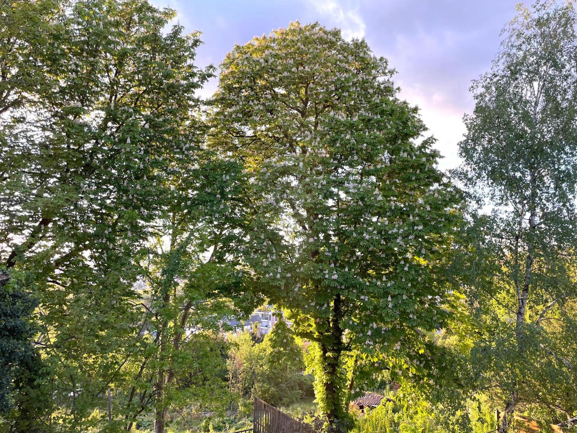 Sara Home Chennevières-sur-Marne Dış mekan fotoğraf