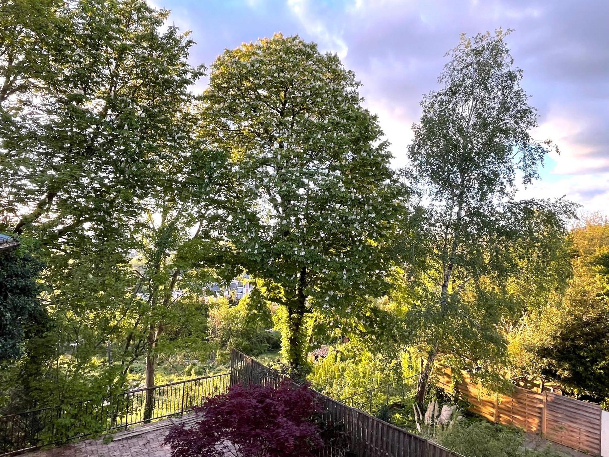Sara Home Chennevières-sur-Marne Dış mekan fotoğraf